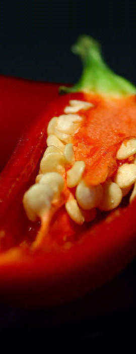 chili